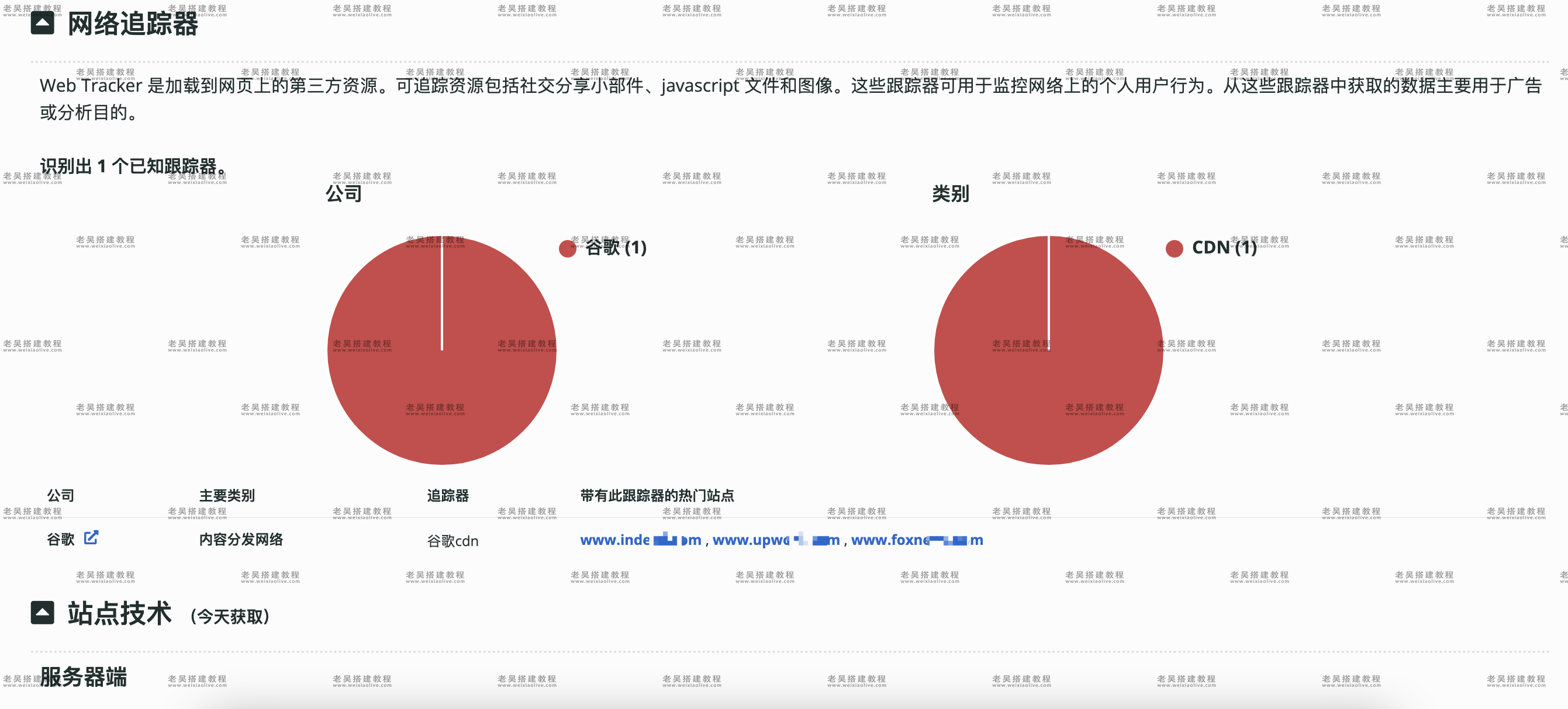 如何判断检测网站域名所使用的操作系统（全面分析检测网站详细信息）  第6张