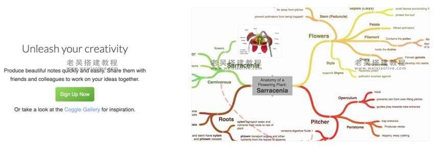 12种国外最佳思维导图软件工具，用于更好地进行头脑风暴  第2张