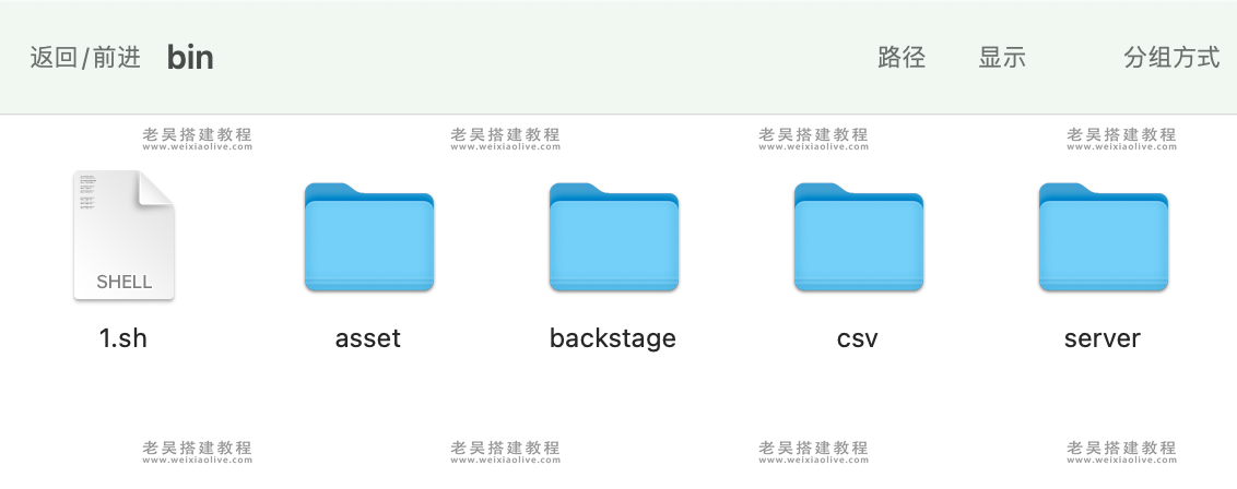 颂游旗舰，宝马，黑金通用过授权bin文件