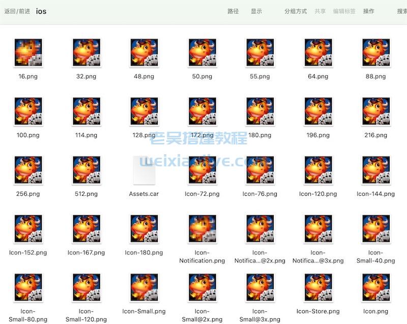 苹果应用ipa文件图标修改教程（Assets.car文件在线修改工具）  第3张