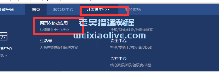 支付宝支付接口申请及后台配置教程  第4张