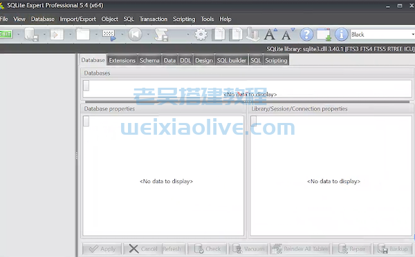 数据库管理工具SQLite Expert Professional v5.4.37绿色免装版  第2张