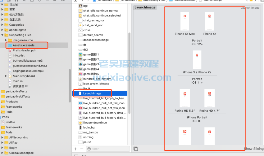 云豹直播IOS苹果端修改文档  第4张