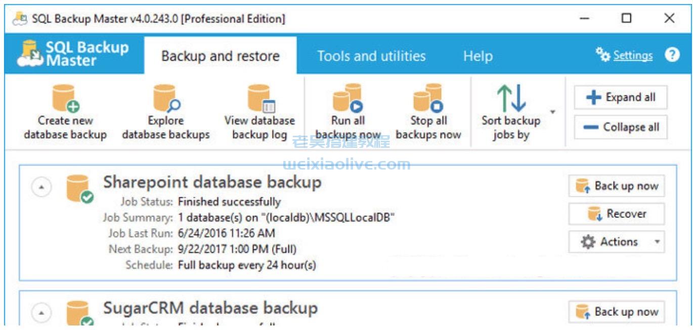 数据库备份工具SQL Backup Master 6.1.591附激活工具  第1张