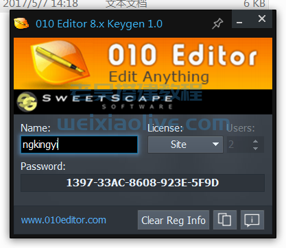 十六进制编辑器 010 Editor v13.0.2 安装注册激活汉化教程  第4张