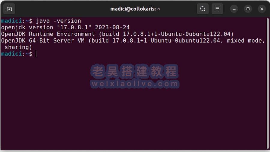 如何在 Ubuntu 上安装 Java  第3张