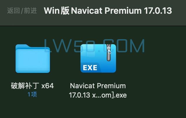 数据库管理工具Navicat Premium 17.0.13绿色window中文版  第3张