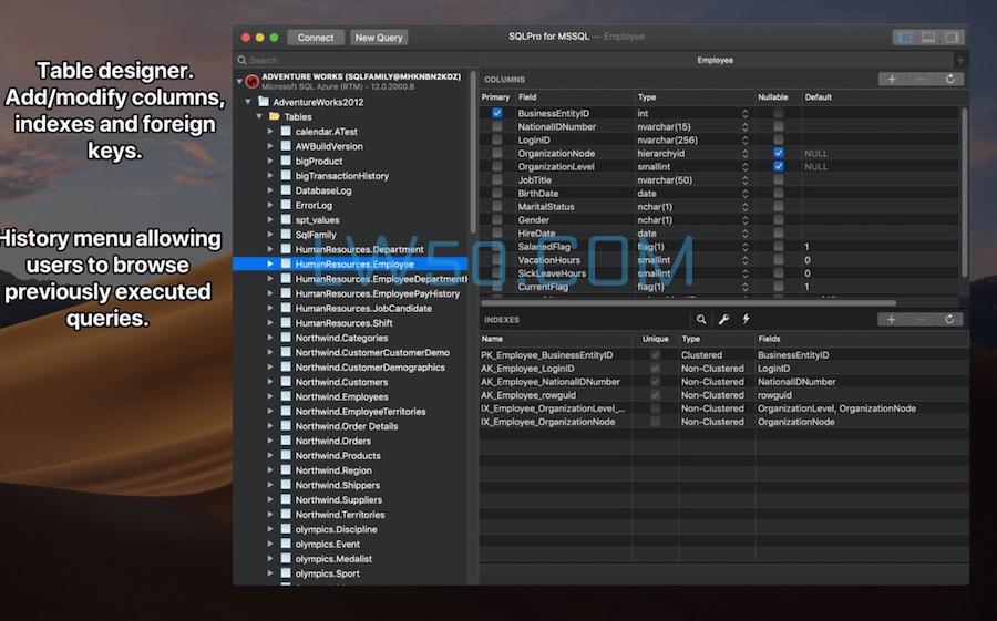 MSSQL数据库管理工具SQLPro for MSSQL Mac 2024.73免激活版  第2张
